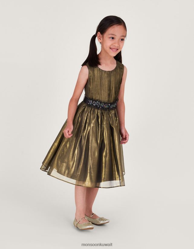 Monsoon محل - أرض العجائب فستان الأورجانزا اللامع ملابس متعدد Monsoon بنت N4BV8X1567