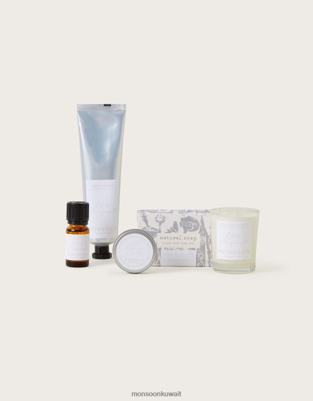 Monsoon accessorize - صندوق سلة العروسة ملحق حار Monsoon نحيف N4BV8X2776